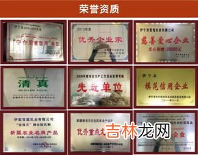 莲的品质和精神,荷花象征怎样的精神和品质?