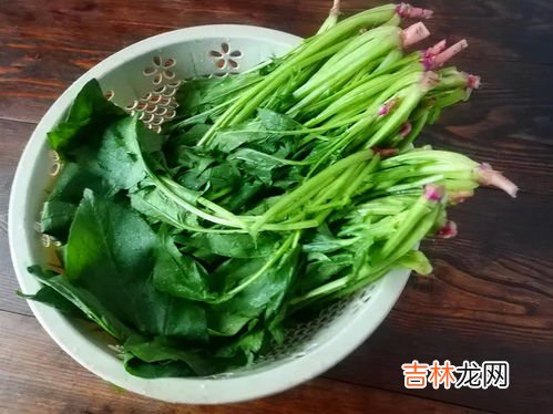 菠菜冻了还能吃吗,菠菜冻了还能吃吗