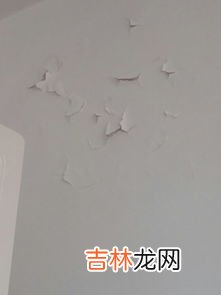 点胶粘在墙上怎么清理,胶点粘墙上怎么去除 胶点粘墙上的去除方法