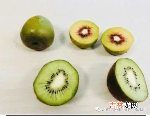 猕猴桃怎么切,猕猴桃怎么去皮