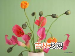 入宅不能买什么鲜花,朋友乔迁新居送什么好,哪些是忌讳的礼物