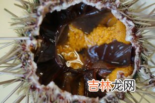 活珠子里面的水可以喝吗,活珠子里面有白色泡沫能吃吗