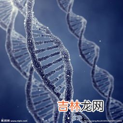 基因小分子肽能改善心脑血管吗,基因小分子肽效果好吗