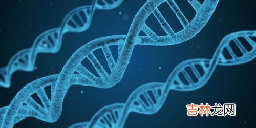 基因小分子肽能改善心脑血管吗,基因小分子肽效果好吗