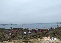 为什么大海会涨潮退潮,大海为什么会有涨潮和退潮？退潮以后海水去哪了？