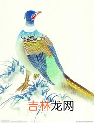 吉祥动物有哪些,十二生肖的吉祥物有什么啊？