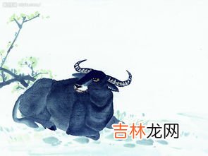 吉祥动物有哪些,十二生肖的吉祥物有什么啊?