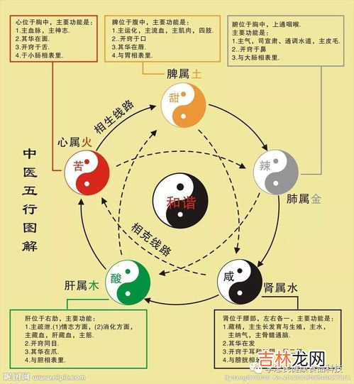 八个字的中医理念,中医治病的理念是什么？