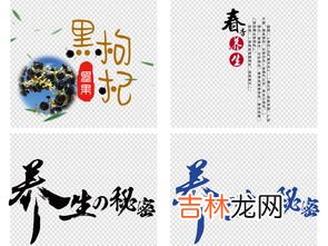 八个字的中医理念,中医治病的理念是什么？