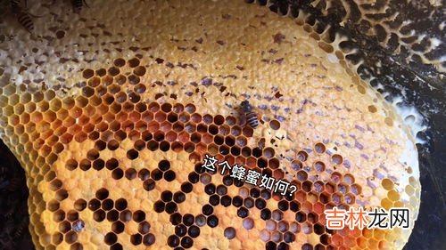 蜂蜡是怎么形成的,蜂蜡是怎么形成的，可以用来做什么