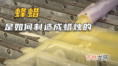 蜂蜡是怎么形成的,蜂蜡是怎么形成的,可以用来做什么