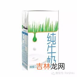 牛乳是不是牛奶,牛乳是什么意思