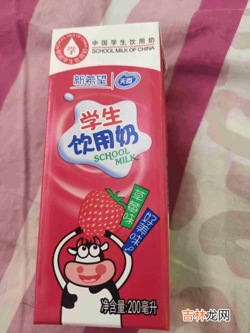 牛乳是不是牛奶,牛乳是什么意思
