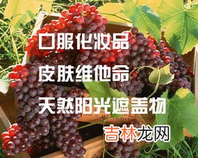 葡萄籽胶囊什么年龄吃,葡萄籽胶囊适合什么年龄的人吃