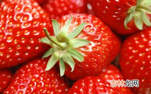 草莓什么时候成熟,草莓什么时候成熟