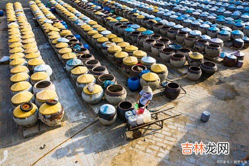 鱼露是什么,鱼露是什么