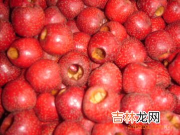 金棘紅果粉是什麽,沙芽紅果飲適合多大孩子