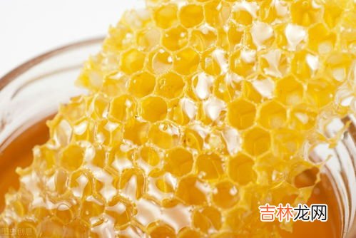 蜂窝的功效与作用及食用方法,蜂巢怎么吃 蜂巢的多种吃法