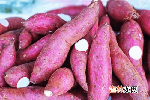 煮熟的紅薯可以放幾天,煮熟的紅薯放冰箱冷藏可以保存幾天?
