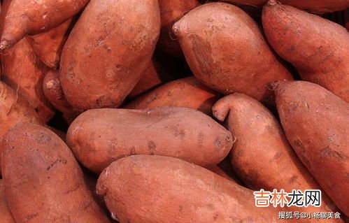 煮熟的紅薯可以放幾天,煮熟的紅薯放冰箱冷藏可以保存幾天?