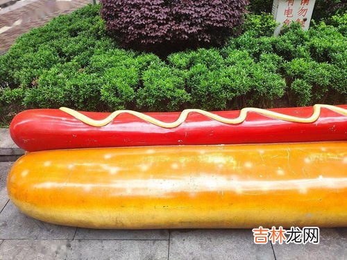 热狗的由来是什么,热狗为何叫热狗.