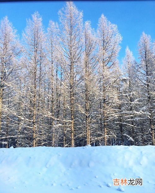 2022北方立冬下雪好不好,立冬下雪有什么说法 立冬下雪会有什么预兆