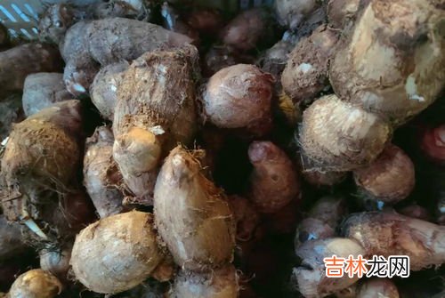 芋头怎么保存不会烂,芋头怎样保存长期不烂
