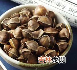 辣木精片功效与作用,辣木片的作用
