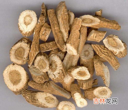 板蓝根的功效与作用,板蓝根的功效与作用