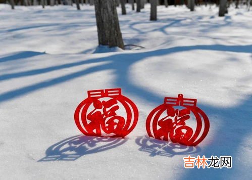 大雪中雪小雪怎么分,从气象学上，大雪，中雪，小雪是怎么区分的？