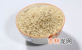 高粱的功效与作用禁忌,高粱的功效与作用,高粱米的功效与作用及禁忌