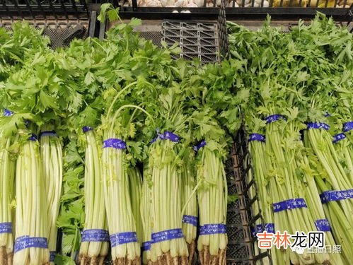 白萝卜和韭菜可以一起吃吗,萝卜和韭菜是否可以混在一起吃?