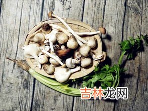 蘑菇和芹菜能一起吃吗,平菇芹菜能一起吃吗