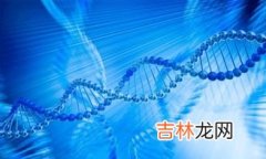 美商婕斯DNA基因修护怎么样,大家觉得婕斯怎么样？