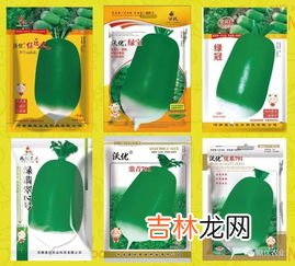 萝卜黑心可以吃吗,今天买回来的萝卜切开一看，里面发淡黑还能吃吗