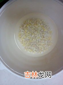 高粱米饭的做法,高粱米饭的做法 高粱米饭如何做