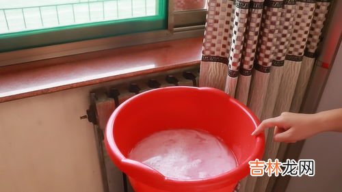 赶苍蝇方法,有什么窍门可以驱逐苍蝇?