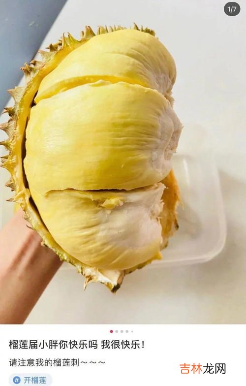 榴莲怎么开不扎手不伤手,整个榴莲怎么剥开