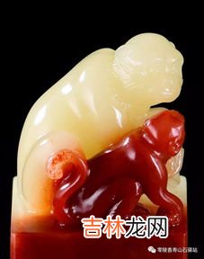 芙蓉石的功效与作用,芙蓉石的功效与作用 对人体有什么好处