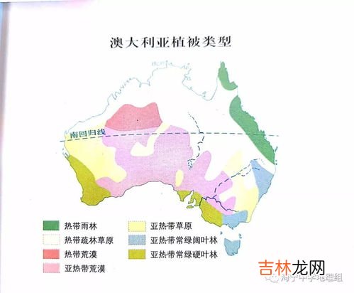热带草原气候的植被,热带草原气候的地表植被以什么为主