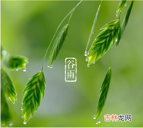 谷雨节气寓意,谷雨节气的含义