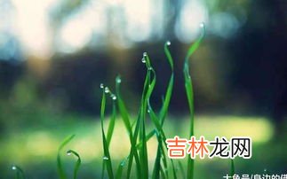 谷雨节气寓意,谷雨节气的含义