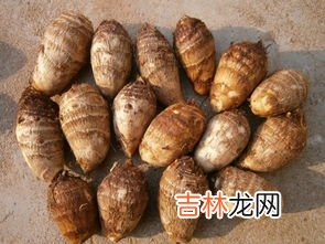 芋头发绿色能吃吗,芋头绿了有毒吗