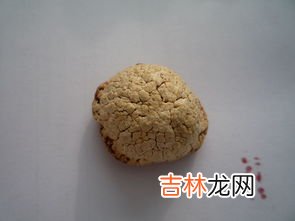 蜂王胎是什么东西,吃蜂王胎有什么忌讳