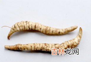 蜂王胎是什么东西,吃蜂王胎有什么忌讳