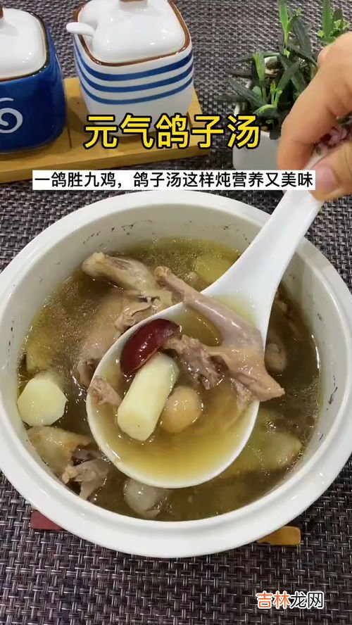 鸽子和什么一起炖汤最有营养啊,鸽子加什么一起炖汤最好