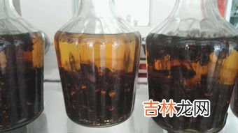 蜂酒的功效与作用,鬼头蜂酒的功效？