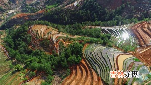 米易县城海拔多少米,米易农家乐包吃住列表电话