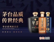 茅台酒起源及发展历史,茅台的起源及发展史是什么？