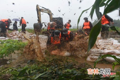 西宝兴路什么梗,西宝兴路833号是什么地方